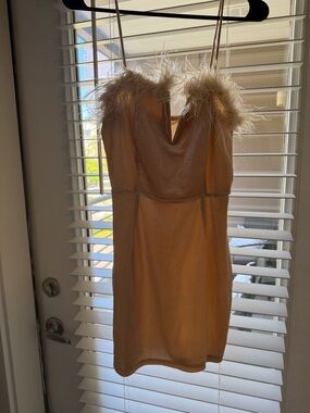 Feather Trim Dress in Beige